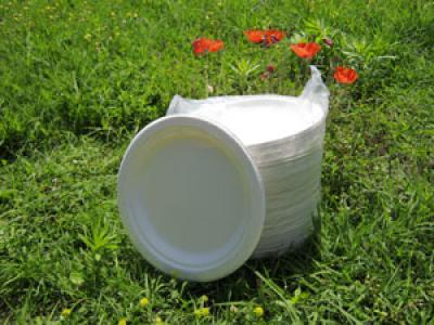 PIATTI-BIODEGRADABILI-ECOLOGICI-COMPOSTABILI-CARTA-23CM-50PZ